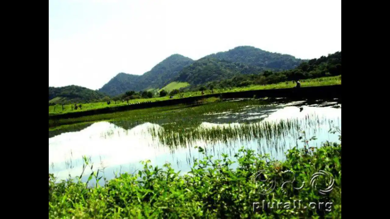 Euphoria - Fotos de 2007