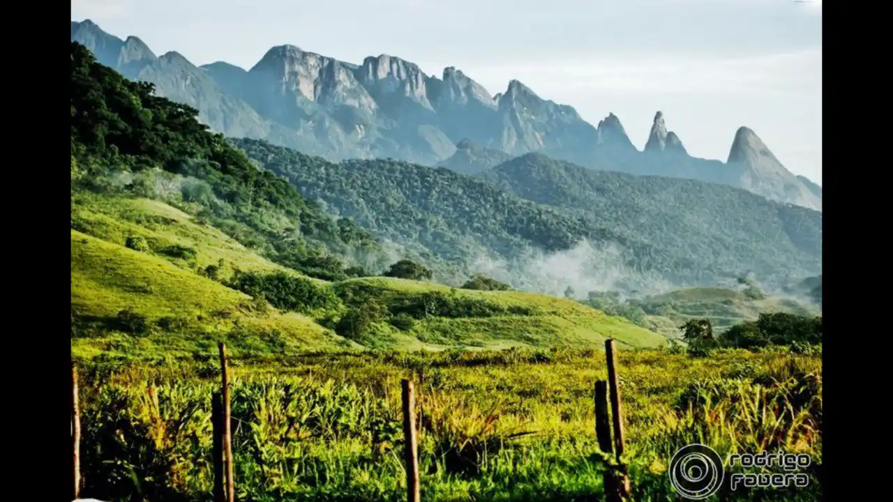 Euphoria - Fotos de 2009