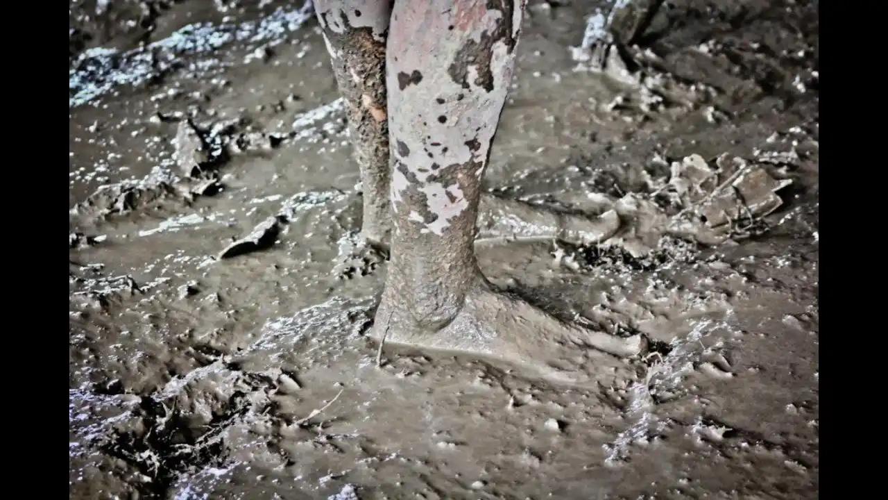 Euphoria - Fotos de 2012